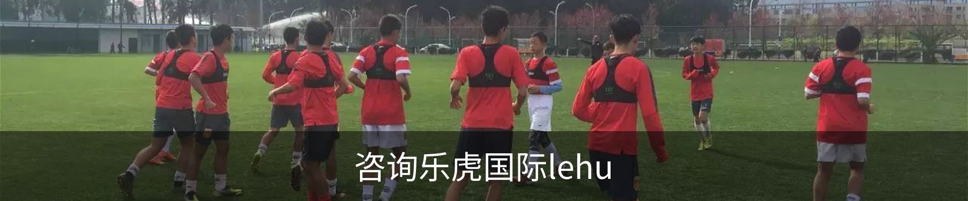 咨询乐虎国际lehu